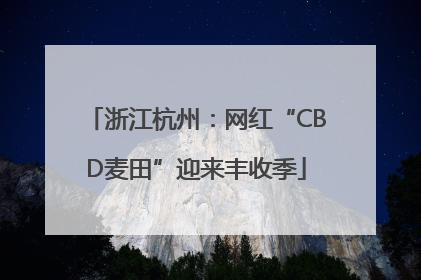 浙江杭州：网红“CBD麦田”迎来丰收季