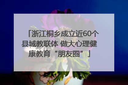 浙江桐乡成立近60个县域教联体 做大心理健康教育“朋友圈”