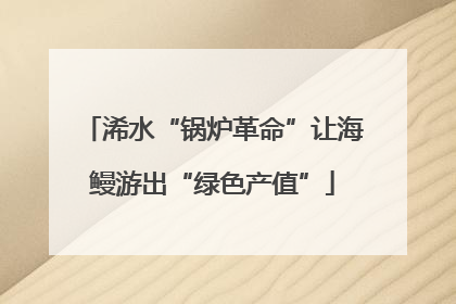 浠水“锅炉革命”让海鳗游出“绿色产值”