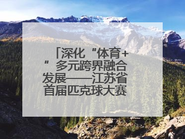 深化“体育+”多元跨界融合发展——江苏省首届匹克球大赛在无锡开赛