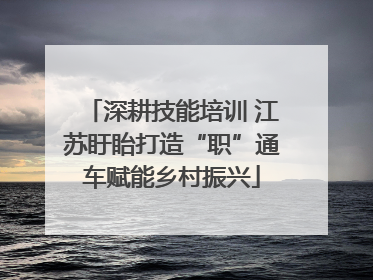 深耕技能培训 江苏盱眙打造“职”通车赋能乡村振兴
