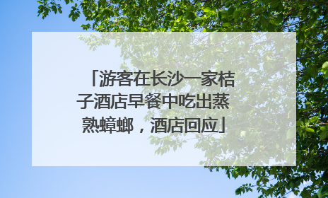 游客在长沙一家桔子酒店早餐中吃出蒸熟蟑螂，酒店回应