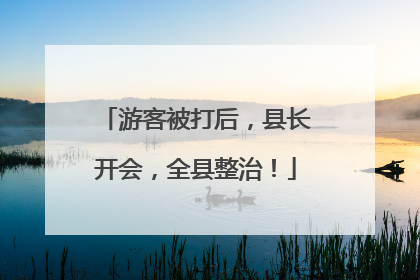 游客被打后，县长开会，全县整治！