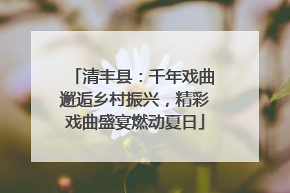 清丰县：千年戏曲邂逅乡村振兴，精彩戏曲盛宴燃动夏日