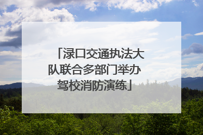 渌口交通执法大队联合多部门举办驾校消防演练