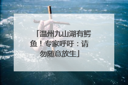 温州九山湖有鳄鱼！专家呼吁：请勿随意放生