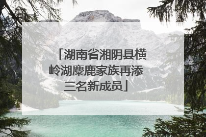 湖南省湘阴县横岭湖麋鹿家族再添三名新成员