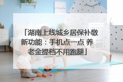 湖南上线城乡居保补缴新功能：手机点一点 养老金提档不用跑腿