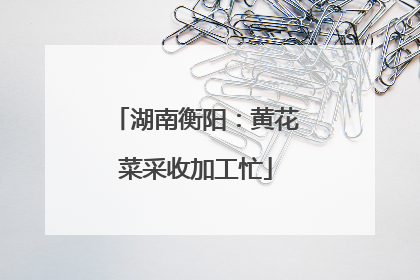 湖南衡阳：黄花菜采收加工忙