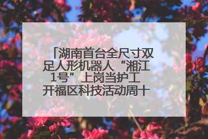 湖南首台全尺寸双足人形机器人“湘江1号”上岗当护工 开福区科技活动周十大科创项目签约
