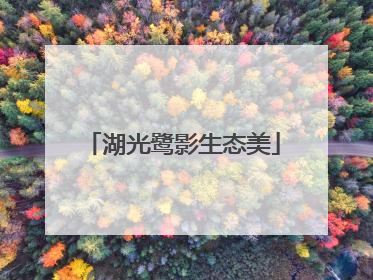 湖光鹭影生态美