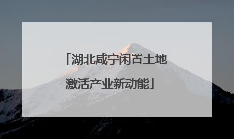 湖北咸宁闲置土地激活产业新动能