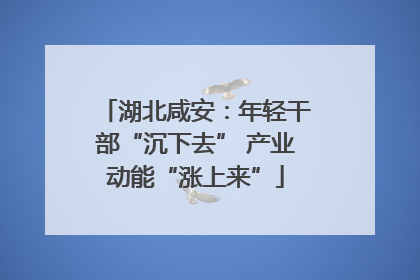湖北咸安：年轻干部“沉下去” 产业动能“涨上来”
