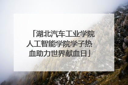 湖北汽车工业学院人工智能学院学子热血助力世界献血日