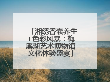 湘绣香囊养生+色彩风暴：梅溪湖艺术博物馆文化体验盛宴