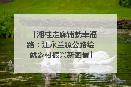 湘桂走廊铺就幸福路：江永兰源公路绘就乡村振兴新图景