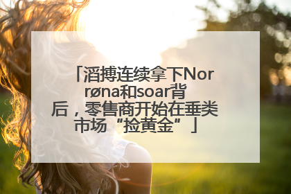 滔搏连续拿下Norrøna和soar背后，零售商开始在垂类市场“捡黄金”