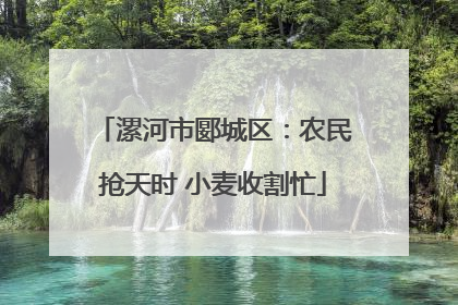 漯河市郾城区：农民抢天时 小麦收割忙