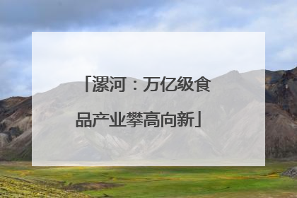 漯河：万亿级食品产业攀高向新