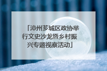 漳州芗城区政协举行文史沙龙暨乡村振兴专题视察活动
