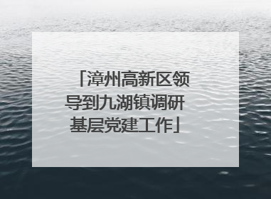 漳州高新区领导到九湖镇调研基层党建工作