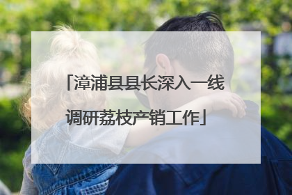 漳浦县县长深入一线调研荔枝产销工作