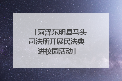 菏泽东明县马头司法所开展民法典进校园活动