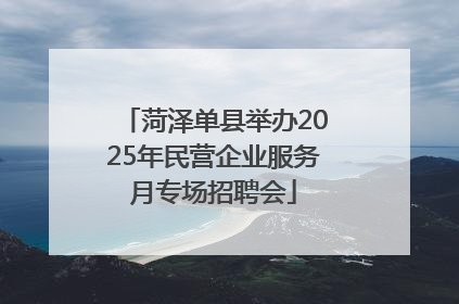 菏泽单县举办2025年民营企业服务月专场招聘会