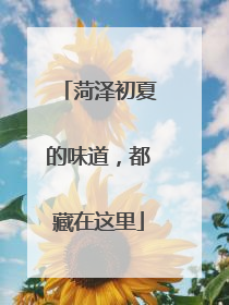 菏泽初夏的味道，都藏在这里