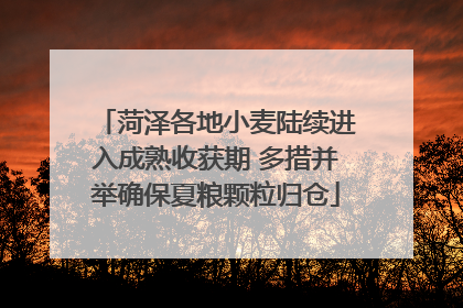 菏泽各地小麦陆续进入成熟收获期 多措并举确保夏粮颗粒归仓