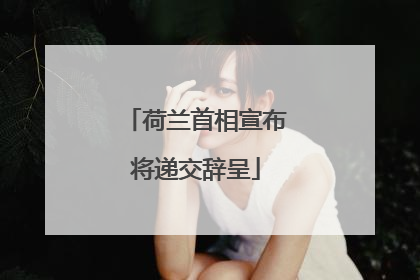荷兰首相宣布将递交辞呈