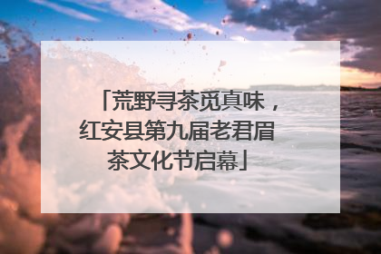 荒野寻茶觅真味，红安县第九届老君眉茶文化节启幕