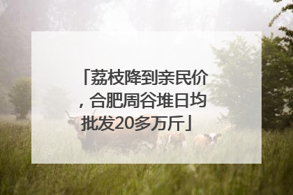 荔枝降到亲民价，合肥周谷堆日均批发20多万斤
