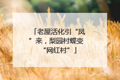 老屋活化引“凤”来，梨园村蝶变“网红村”