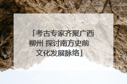 考古专家齐聚广西柳州 探讨南方史前文化发展脉络