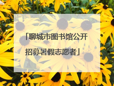 聊城市图书馆公开招募暑假志愿者