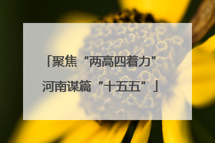 聚焦“两高四着力” 河南谋篇“十五五”