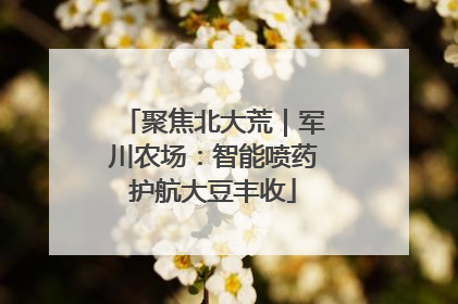 聚焦北大荒｜军川农场：智能喷药护航大豆丰收