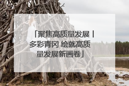 聚焦高质量发展丨多彩青冈 绘就高质量发展新画卷