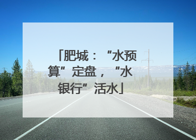 肥城：“水预算”定盘，“水银行”活水