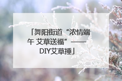 舞阳街道“浓情端午 艾草送福”——DIY艾草捶