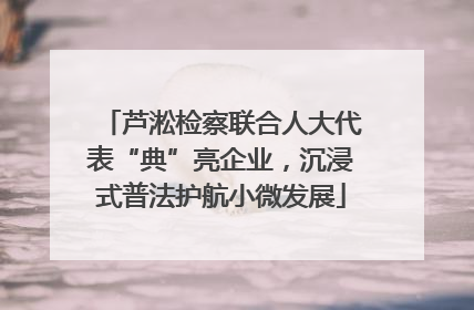 芦淞检察联合人大代表“典”亮企业，沉浸式普法护航小微发展