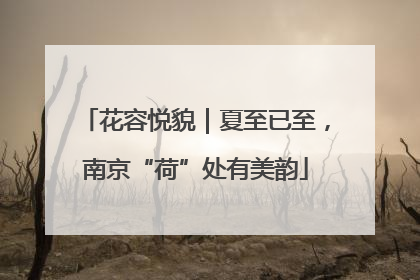 花容悦貌｜夏至已至，南京“荷”处有美韵