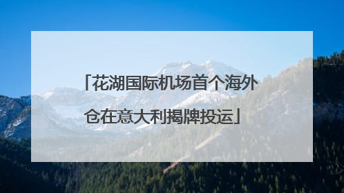 花湖国际机场首个海外仓在意大利揭牌投运