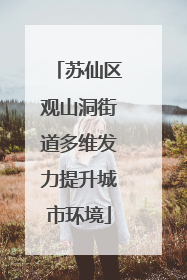 苏仙区观山洞街道多维发力提升城市环境