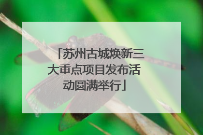 苏州古城焕新三大重点项目发布活动圆满举行