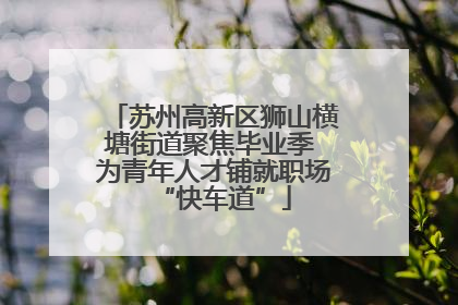 苏州高新区狮山横塘街道聚焦毕业季 为青年人才铺就职场“快车道”