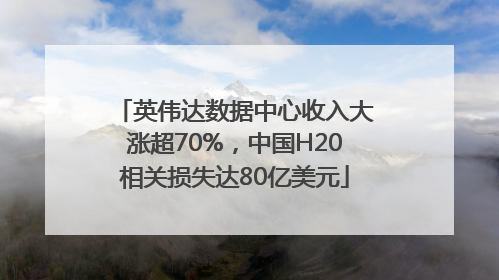 英伟达数据中心收入大涨超70%，中国H20相关损失达80亿美元