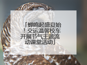蝉鸣起盛夏始！交运温馨校车开展节气主题流动课堂活动