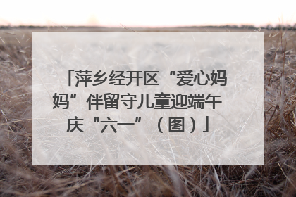萍乡经开区“爱心妈妈”伴留守儿童迎端午庆“六一”（图）